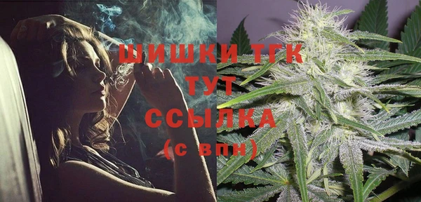 MESCALINE Елизово