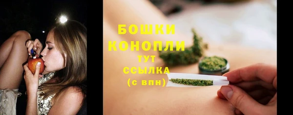 PSILOCYBIN Елабуга