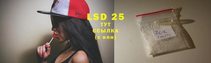 PSILOCYBIN Елабуга