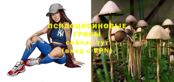 jwh Ельня