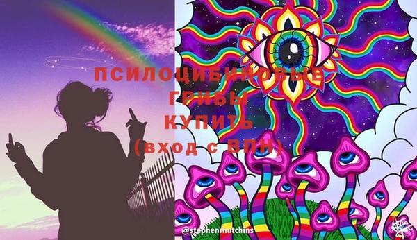 PSILOCYBIN Елабуга