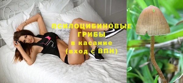 PSILOCYBIN Елабуга